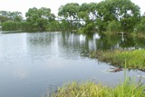 TANAGO fishing fild:pond-1
